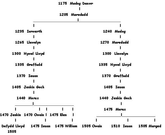 madogdanwrchart.jpg